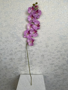 94cm Orchid Sprig