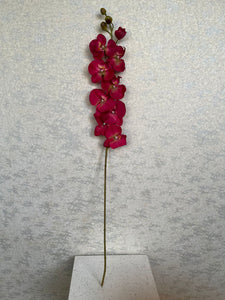 94cm Orchid Sprig