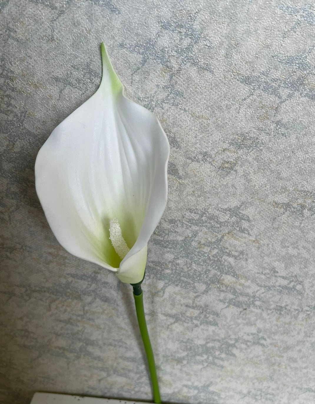 Single white Lilly Flower (H:35cm)