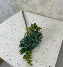 Load image into Gallery viewer, Throat Wort Flower (H:29cm)
