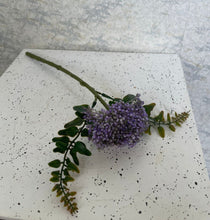 Load image into Gallery viewer, Throat Wort Flower (H:29cm)
