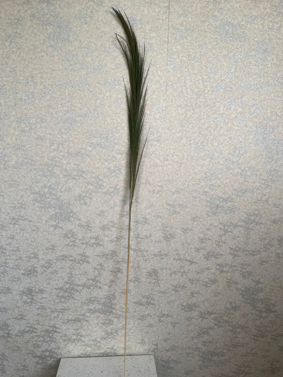 Natural Feather Sprig  (H:80cm)