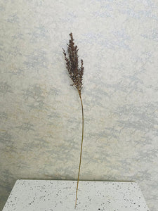 Dried Natural Lavender Sprig