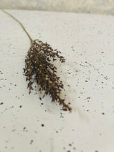 Load image into Gallery viewer, Dried Natural Lavender Sprig
