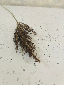 Dried Natural Lavender Sprig