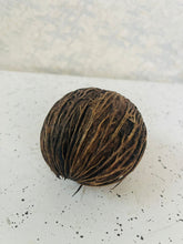 Load image into Gallery viewer, Dried Kaduru Fruit (L)
