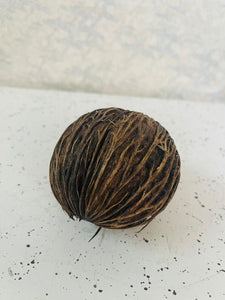 Dried Kaduru Fruit (L)
