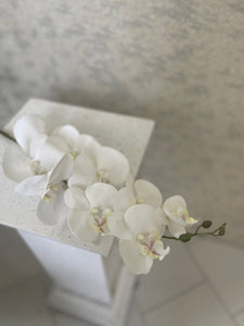 White Orchid Sprig (9 Flowers)