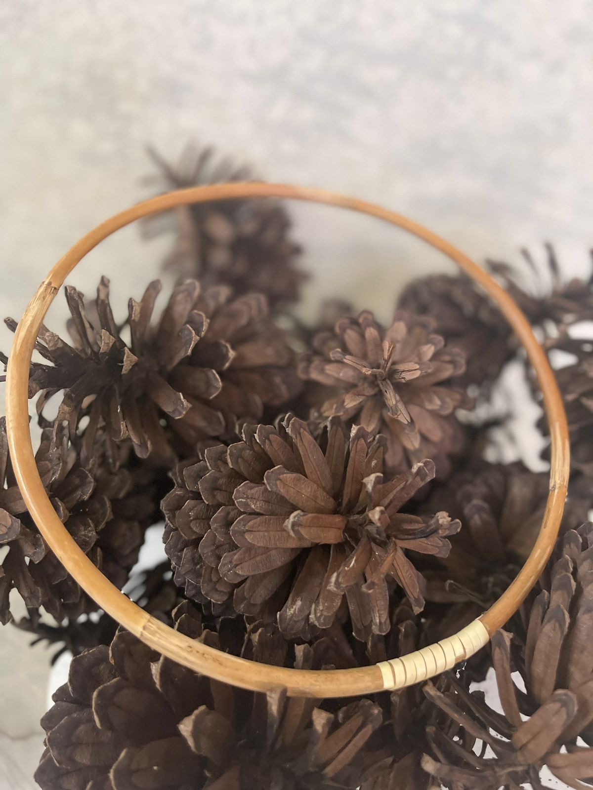 Cane Ring