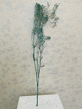 Load image into Gallery viewer, Dried Colored Baby&#39;s Breath Sprig
