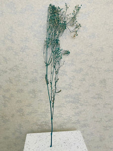 Dried Colored Baby's Breath Sprig