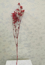 Load image into Gallery viewer, Dried Colored Baby&#39;s Breath Sprig
