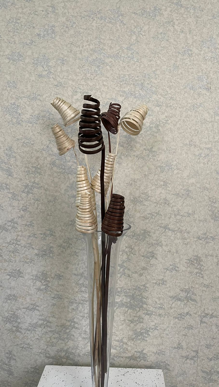 Natural Spiral Cone Twig