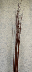 Natural Dry Twig