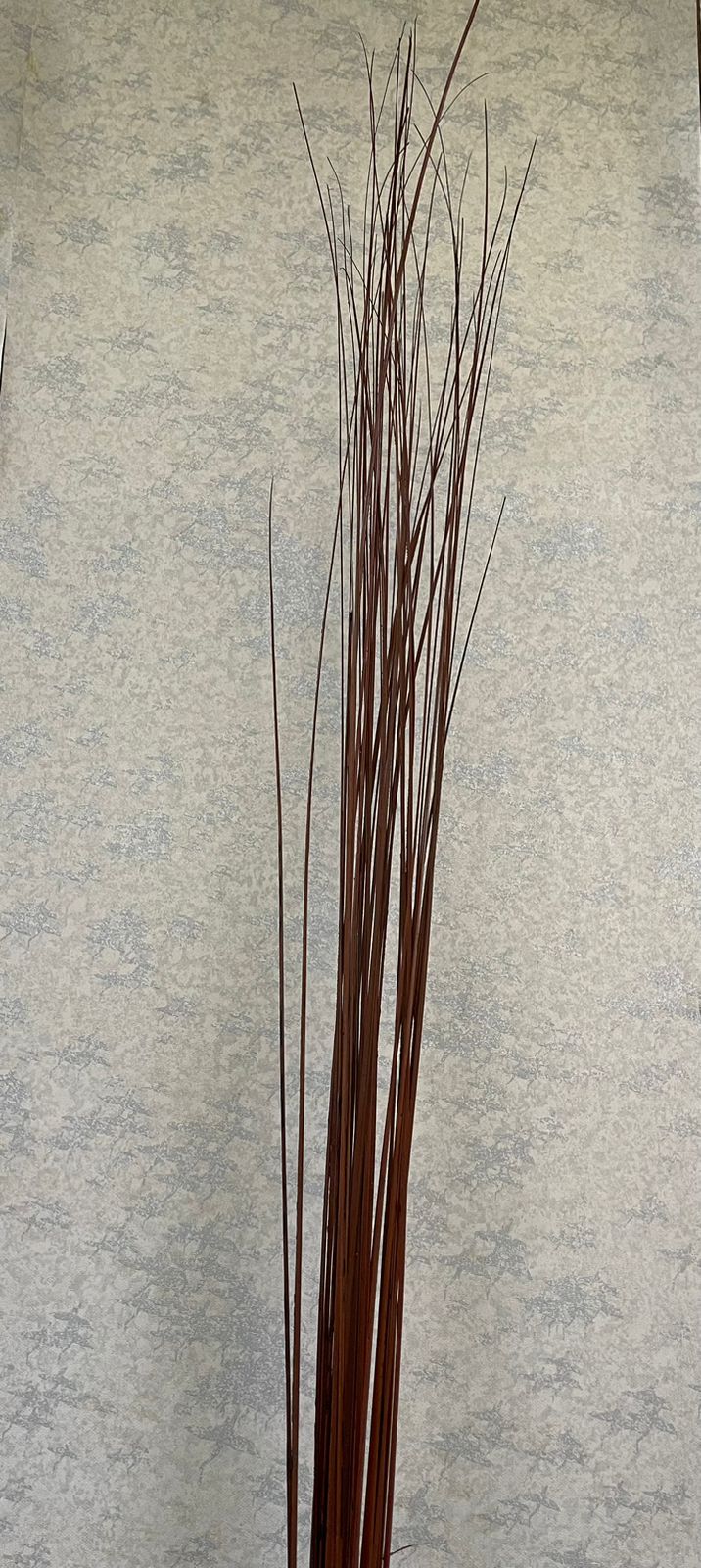 Natural Dry Twig