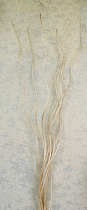 Natural Large Spiral Twig