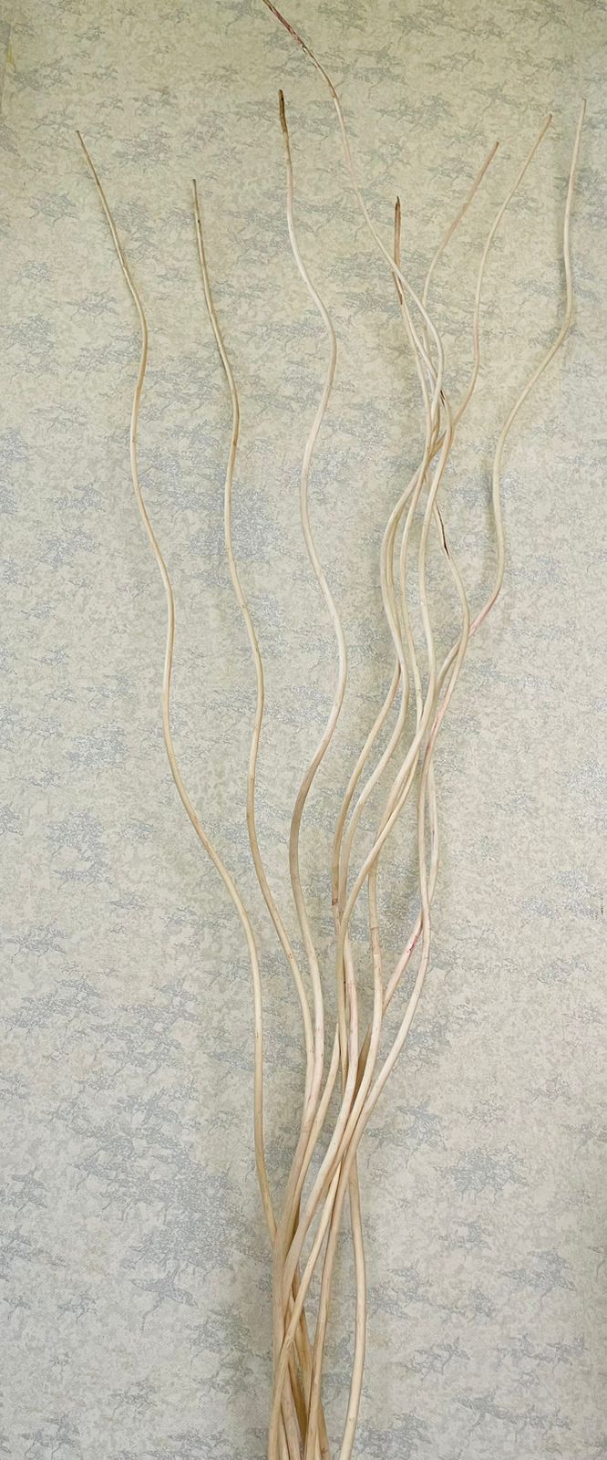 Natural Large Spiral Twig