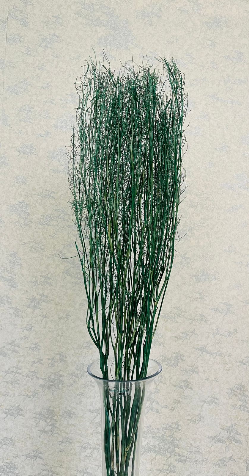 Natural Green Moss Twig
