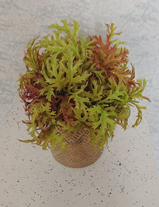 Artificial Floral Arrangement (h:23cm w:29cm)