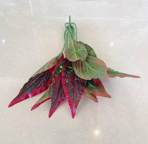 35cm Purple & Red Small Plant - Green Gardens Mihiliya (Pvt) Ltd