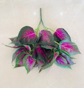 35cm Purple & Red Small Plant - Green Gardens Mihiliya (Pvt) Ltd