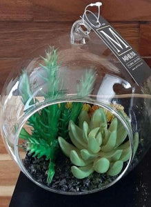 Succulents in Round Glass - Green Gardens Mihiliya (Pvt) Ltd