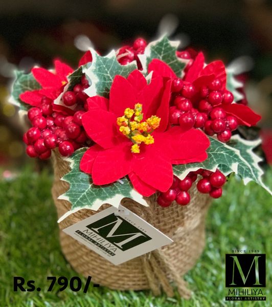 Poinsettia & Red Berries 18CM - Green Gardens Mihiliya (Pvt) Ltd