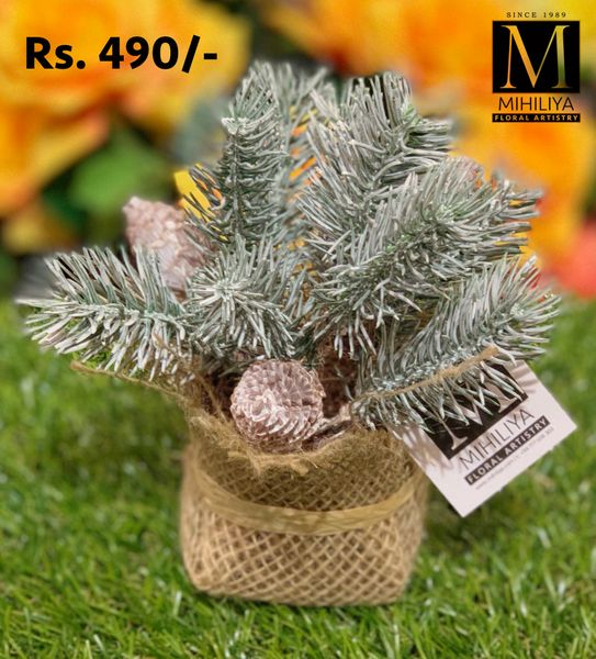 Mini Pine Cone & Frosted Grass 12CM - Green Gardens Mihiliya (Pvt) Ltd