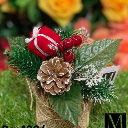 Mini Pine Cone with Mini Gift Box 12CM - Green Gardens Mihiliya (Pvt) Ltd