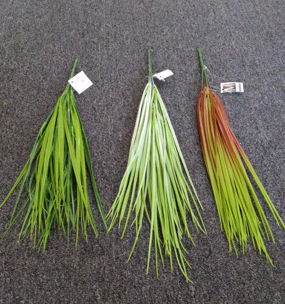 45cm Thin Grass Bunch - Green Gardens Mihiliya (Pvt) Ltd