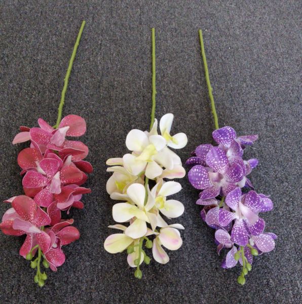 60cm Real Touch Cattleya 12FL - Green Gardens Mihiliya (Pvt) Ltd