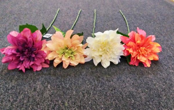 75cm Autumn Dahlia - Green Gardens Mihiliya (Pvt) Ltd