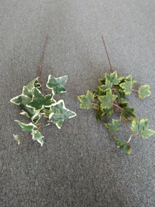 85cm Ivy Sprig - Green Gardens Mihiliya (Pvt) Ltd