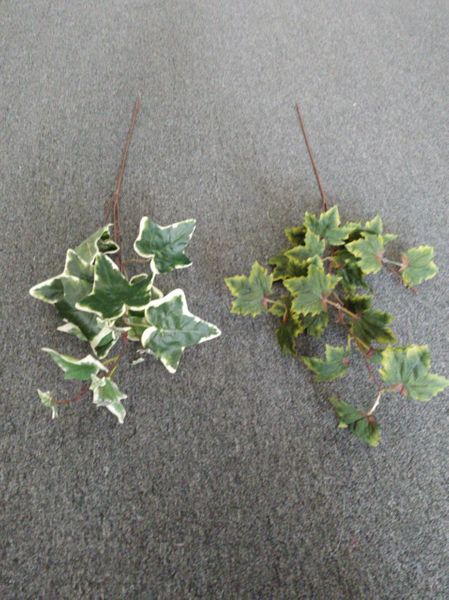 85cm Ivy Sprig - Green Gardens Mihiliya (Pvt) Ltd