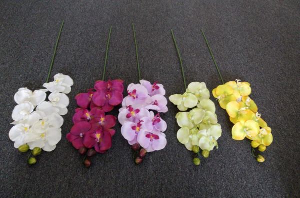 75cm Phalaenopsis Sprig - Green Gardens Mihiliya (Pvt) Ltd