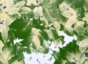 Self-Adhesive Wallpaper (Vinyl/PvC) - Green Gardens Mihiliya (Pvt) Ltd