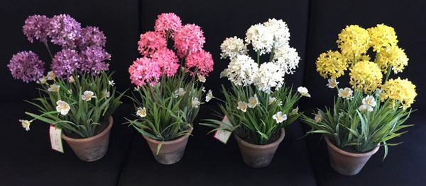 40cm Pom Pom Potted Plant - Green Gardens Mihiliya (Pvt) Ltd