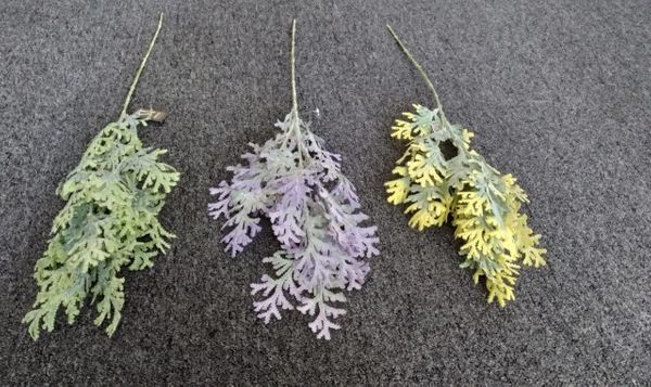 75cm Frosted Cypress Sprig - Green Gardens Mihiliya (Pvt) Ltd