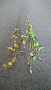 140cm Dry Twig with Leaves - Green Gardens Mihiliya (Pvt) Ltd