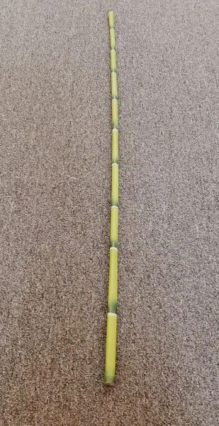 90cm Single Bamboo - Green Gardens Mihiliya (Pvt) Ltd