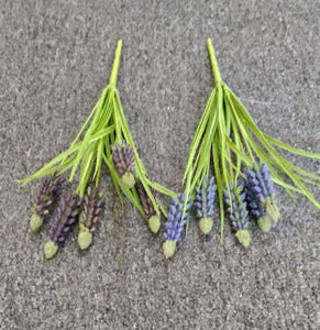 30cm Hyacinth - Green Gardens Mihiliya (Pvt) Ltd